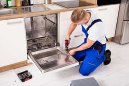 Freestanding Dishwasher Repair
